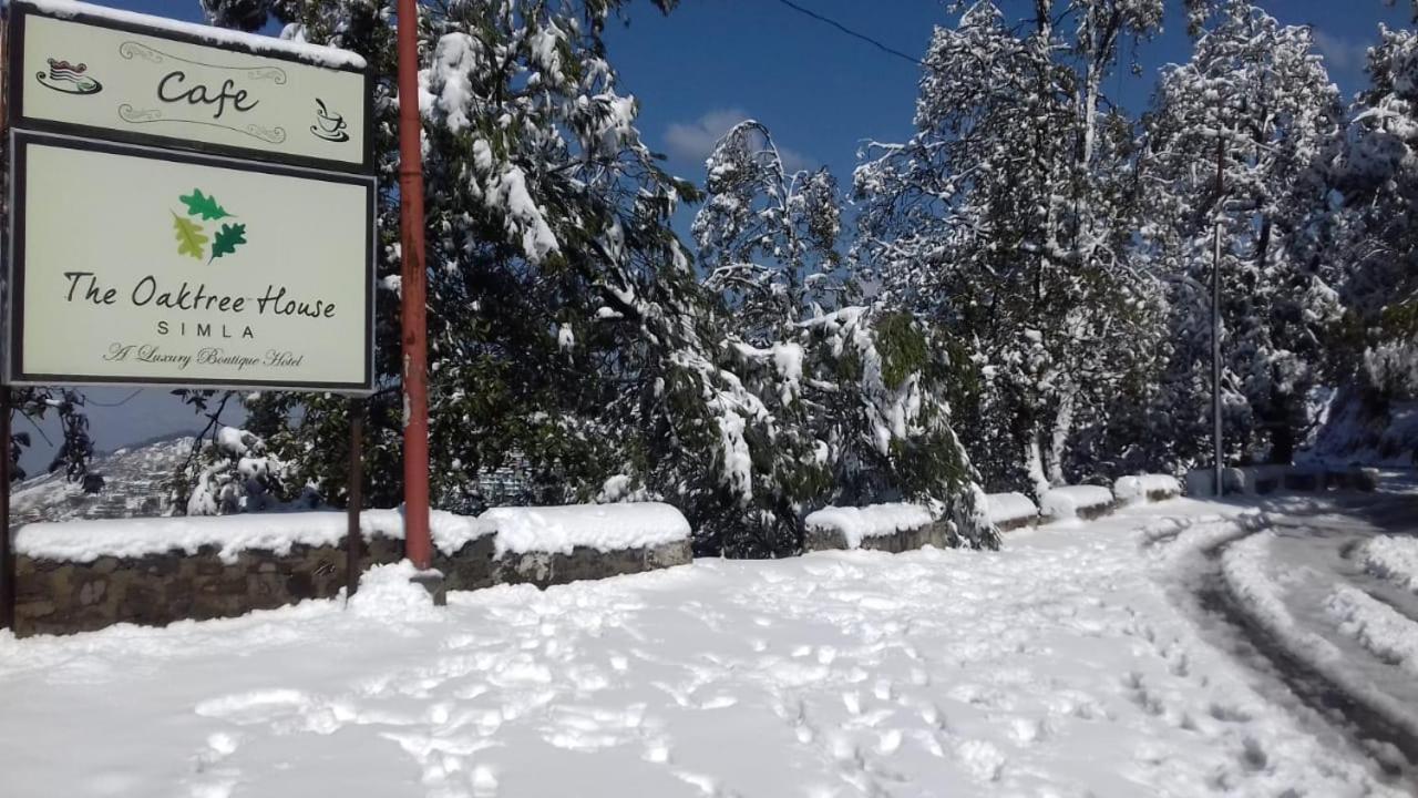 The Oaktree House Shimla Exterior foto
